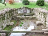 domb-002.jpg