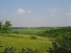 img_1228.jpg