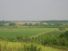 img_1229.jpg