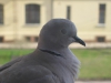 img_9722.jpg