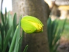 img_9848.jpg