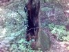 kep-35.jpg