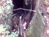 kep-39.jpg
