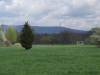 pell-004.jpg
