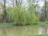 pell-025.jpg
